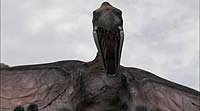 Image from: Pterodactyl (2005)