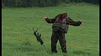 Image from: Pterodactyl (2005)