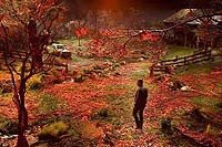 Image from: War of the Worlds (2005)