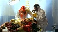 Image from: Phil the Alien (2004)