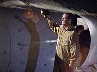 Image from: Terrarium (2003)