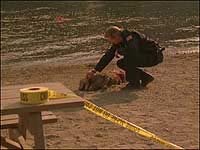 Image from: Snakehead Terror (2004)