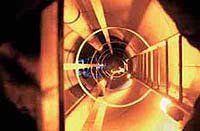Image from: Parasite (2004)