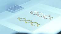Image from: Code 46 (2003)