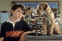 Image from: Good Boy! (2003)