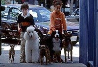 Image from: Good Boy! (2003)