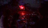 Image from: Centipede! (2004)