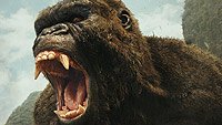 Image from: Kong: Skull Island (2017)
