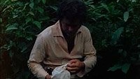 Image from: Twilight People, The (1972)