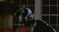 Image from: Frog-g-g! (2004)