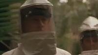 Image from: Deadly Swarm (2003)