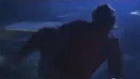 Image from: Deadly Swarm (2003)