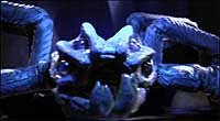 Image from: Tail Sting (2001)
