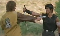 Image from: Shadow Fury (2001)