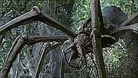 Image from: Arachnid (2001)
