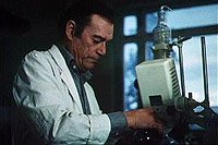 Image from: Haytabo (1971)