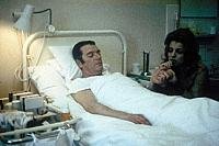 Image from: Haytabo (1971)