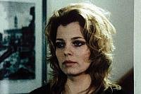 Image from: Haytabo (1971)