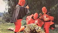 Image from: Campeones Justicieros, Los (1971)