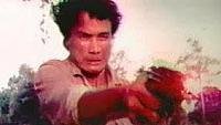 Image from: Urutora 6-Kyodai tai Kaijû Gundan (1974)