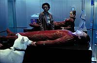 Image from: Cell, The (2000)