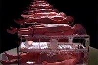 Image from: Absolute Aggression (1996)