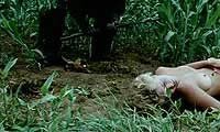 Image from: Alien Outlaw (1985)