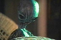 Image from: Feeders (1996)