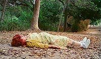 Image from: Dr. Benderfax (1997)