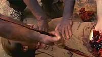 Image from: Zombie Wars (2007)