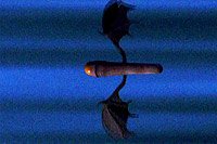 Image from: Colony Mutation (1995)