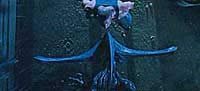 Image from: Pitch Black (2000)