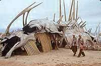 Image from: Pitch Black (2000)