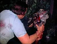Image from: Blood Freak (1972)