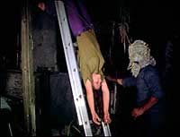 Image from: Blood Freak (1972)