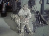 Image from: Povestea Dragostei (1976)