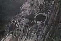 Image from: Invaders from the Deep (1981)