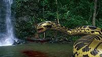 Image from: Piranhaconda (2012)