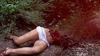 Image from: Piranhaconda (2012)