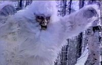 Image from: Capture of Bigfoot, The (1979)