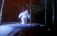 Image from: Capture of Bigfoot, The (1979)