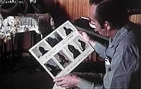 Image from: Capture of Bigfoot, The (1979)
