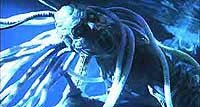 Image from: Species II (1998)