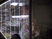 Image from: Ravager (1997)