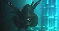 Image from: Alien: Resurrection (1997)