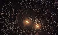 Image from: Precious Find (1996)