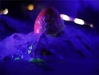Image from: Bugged (1997)