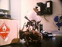 Image from: Bugged (1997)