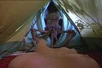 Image from: Mosquito (1995)