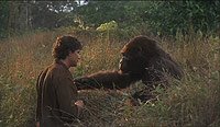 Image from: Congo (1995)